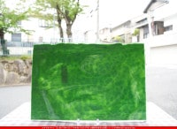 �䥫���ˡ�_UG_4001-HS_A_702202400001_�̿���1/2�����ܥ�����_30cm��22cm