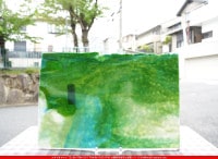 �䥫���ˡ�_UG_1664-RG_A_702202400002_�̿���1/2�����ܥ�����_30cm��22cm