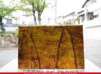 �䥫���ˡ�_UG_4302-RGR_A_702202400008_�̿���1/2�����ܥ�����_30cm��22cm