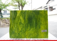 �䥫���ˡ�_UG_1431-RGG_E_702202400011_�̿���1/2�����ܥ�����_35cm��22cm