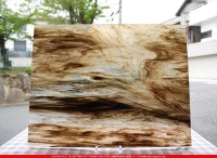 �������ޡ���_W_WO-503 DR_C_707202400095_�̿���1/4�����ܥ�����_20cm��26cm