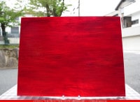 ޡ_W_WO-29 DR_F_707202400102_̿1/4ܥ_20cm26cm