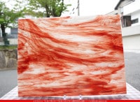 ޡ_W_WO-13 DR_F_707202400106_̿1/4ܥ_20cm26cm