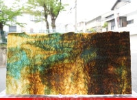 ����ܥ���_UR_50-19_C_701202400001_�̿���1/2�����ܥ�����_30cm��30cm