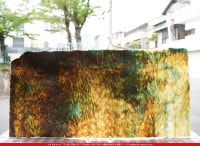 ����ܥ���_UR_50-19_C_701202400002_�̿���1/2�����ܥ�����_30cm��30cm