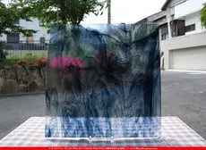 ������_K_42LL_B_734202400016_�̿���1/4�����ܥ�����_20cm��20cm