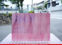 ���󥴥Х�_S_BAR 002_S_A_N_717202400001_�̿���1/2�����ܥ�����_33cm��22cm