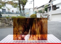 ������_K_47LL(K431)_B_734202400062_�̿���1/2�����ܥ�����_26cm��20cm