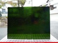 ������_K_650_A_734202400092_�̿���1/4�����ܥ�����_20cm��26cm