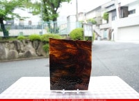 ֥륶_BU_3203-0021_BU_C_719202500020_̿Τܥ_25cm22cm