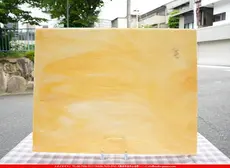 �������ޡ���_W_145-L DR_B_707202500060_�̿���1/4�����ܥ�����_20cm��26cm