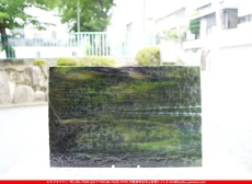 �䥫���ˡ�_UG_1364-RG_A_702202500008_�̿���1/2�����ܥ�����_30cm��22cm