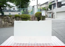 ֥륶_BU_0143-0030_BUF_B_719202500024_̿1/2ܥ_25cm22cm