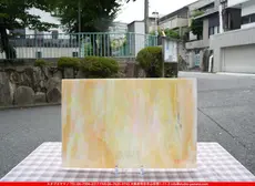 �������ޡ���_W_IRWO-58-D DR_E_707202500086_�̿���1/2�����ܥ�����_26cm��20cm