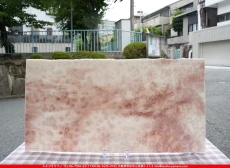 ����ܥ���_UR_00-031_E_701202500001_�̿���1/2�����ܥ�����_30cm��30cm