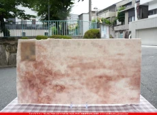 ����ܥ���_UR_00-031_E_701202500002_�̿���1/2�����ܥ�����_30cm��30cm