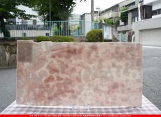 ����ܥ���_UR_00-031_E_701202500003_�̿���1/2�����ܥ�����_30cm��30cm