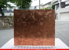 ������_K_NN01 VTG(0)_A_734202500006_�̿���1/4�����ܥ�����_20cm��22cm