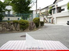 ȥå_ڥȥ_SP_308R_G_760202500011_̿Τܥ_15cm20cm