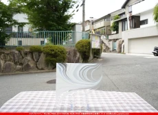 ȥå_ڥȥ_SP_308R_G_760202500012_̿Τܥ_20cm20cm