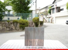 ȥå_ڥȥ_SP_3891S_A_760202500015_̿Τܥ_20cm20cm