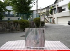 ȥå_ڥȥ_SP_602484CC_D_760202500025_̿Τܥ_20cm20cm