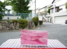 ȥå_ڥȥ_SP_6098S_P_760202500058_̿Τܥ_15cm30cm