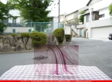 �����ȥ�å�_���ڥ��ȥ��_SP_440R_G_760202500060_�̿������Τ����ܥ�����_20cm��30cm