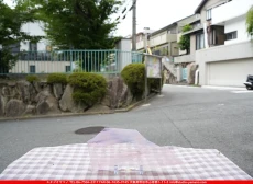 ȥå_ڥȥ_SP_3991S_P_760202500077_̿Τܥ_9cm25cm