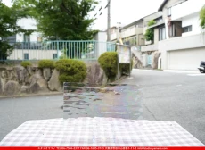 ȥå_ڥȥ_SP_IR100W_D-IR_760202500082_̿Τܥ_20cm27cm