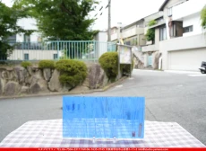 �����ȥ�å�_���ڥ��ȥ��_SP_3391S_A_760202500084_�̿������Τ����ܥ�����_15cm��30cm