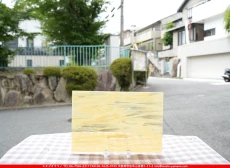 �����ȥ�å�_���ڥ��ȥ��_SP_31902S_A_760202500118_�̿������Τ����ܥ�����_20cm��30cm