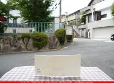 �����ȥ�å�_���ڥ��ȥ��_SP_31502S_WA_760202500125_�̿������Τ����ܥ�����_15cm��30cm