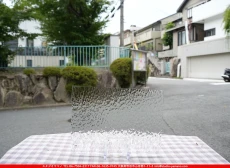 ȥå_ڥȥ_SP_100H_C_760202500138_̿Τܥ_20cm30cm