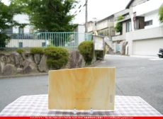 ȥå_ڥȥ_SP_3151S_WA_760202500147_̿Τܥ_20cm30cm