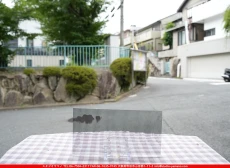 ȥå_ڥȥ_SP_1808W_G_760202500150_̿Τܥ_15cm27cm