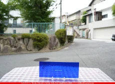 ȥå_ڥȥ_SP_136RR_F_760202500153_̿Τܥ_10cm25cm