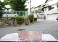 ȥå_ڥȥ_SP_3471S_A_760202500157_̿Τܥ_10cm30cm