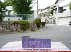 ȥå_ڥȥ_SP_84392S_A_760202500158_̿Τܥ_10cm30cm