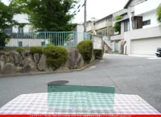 ȥå_ڥȥ_SP_5281A_F_760202500160_̿Τܥ_10cm30cm