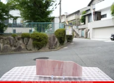 ȥå_ڥȥ_SP_3471S_A_760202500161_̿Τܥ_11cm30cm