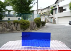 ȥå_ڥȥ_SP_136RR_F_760202500168_̿Τܥ_15cm30cm