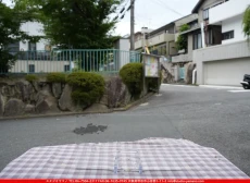 ȥå_ڥȥ_SP_100SS_F_760202500178_̿Τܥ_15cm32cm