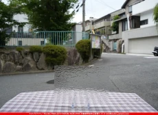 ȥå_ڥȥ_SP_100CC_F_760202500179_̿Τܥ_19cm26cm