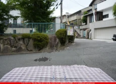 ȥå_ڥȥ_SP_100W_G_760202500180_̿Τܥ_19cm30cm