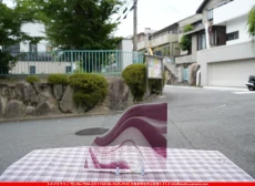 ȥå_ڥȥ_SP_440R_G_760202500184_̿Τܥ_20cm24cm