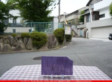 ȥå_ڥȥ_SP_84392S_A_760202500186_̿Τܥ_13cm20cm