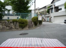 ȥå_ڥȥ_SP_100A_G_760202500192_̿Τܥ_20cm24cm