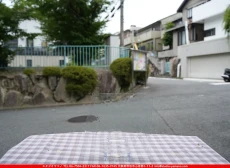 ȥå_ڥȥ_SP_100SS_F_760202500193_̿Τܥ_20cm22cm