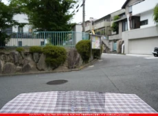 ȥå_ڥȥ_SP_1808W_G_760202500200_̿Τܥ_7cm22cm